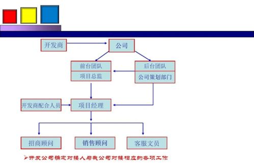 勁花項(xiàng)目營(yíng)銷(xiāo)策劃方案 項(xiàng)目策劃與公關(guān)服務(wù)的整合策略